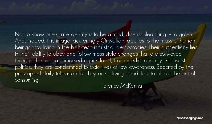 Politics And Lies Quotes By Terence McKenna Politics And Lies Quotes By Terence McKenna