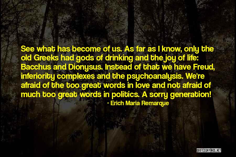 Politics And Life Quotes By Erich Maria Remarque