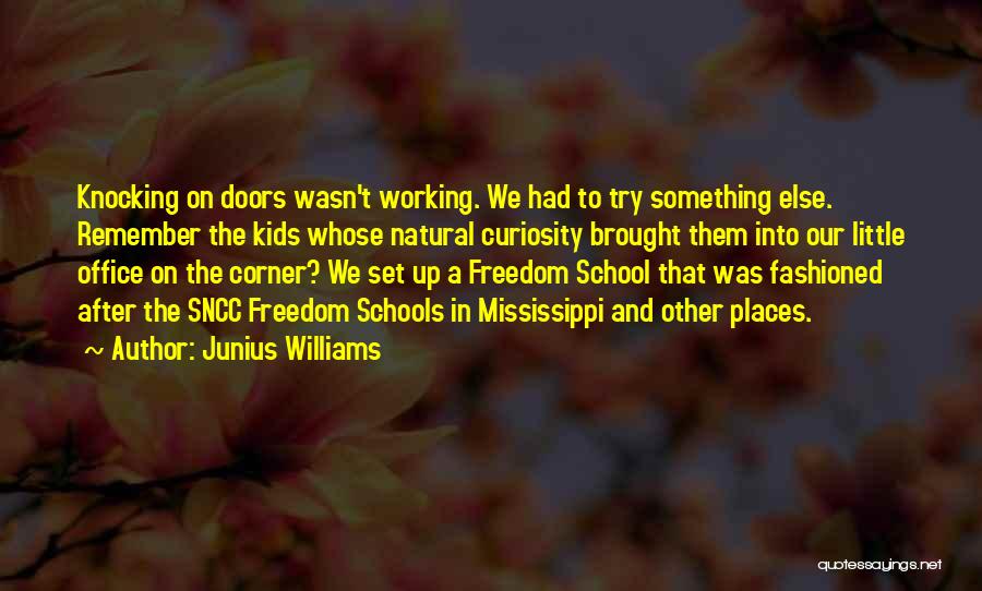 Politics In Office Quotes By Junius Williams