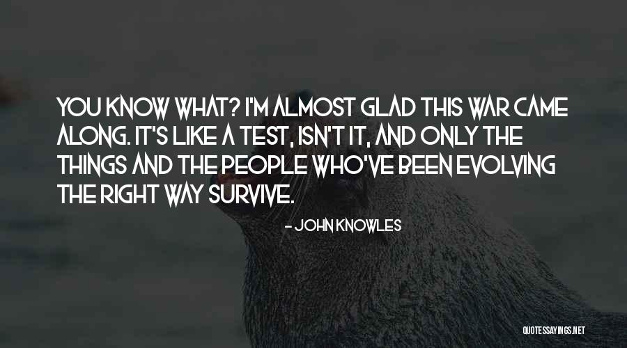 Politischer Quotes By John Knowles Politischer Quotes By John Knowles