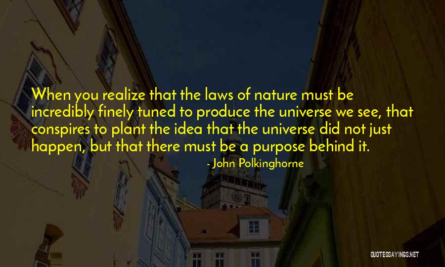 Polkinghorne Quotes By John Polkinghorne