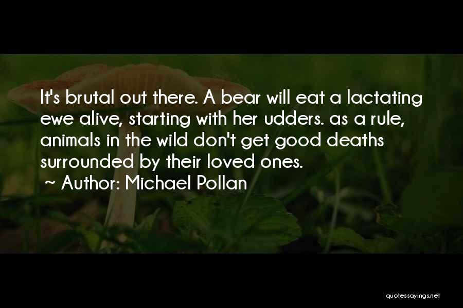 Pollan Quotes By Michael Pollan