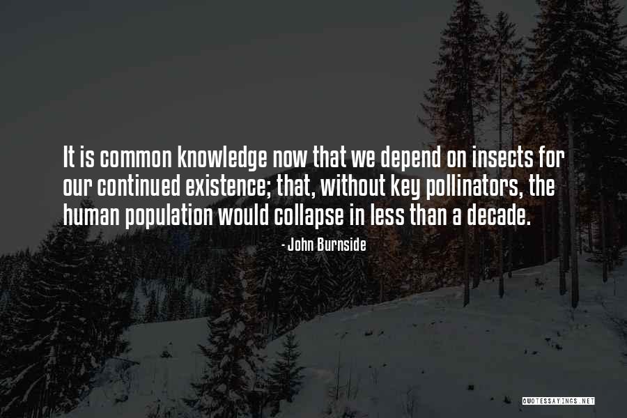 Pollinators Quotes By John Burnside Pollinators Quotes By John Burnside
