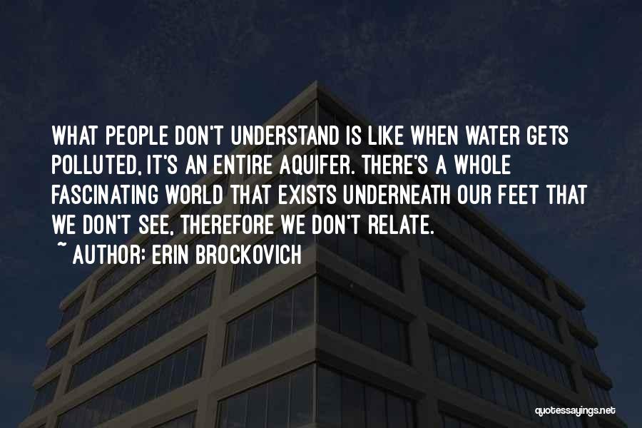 Polluted Water Quotes By Erin Brockovich