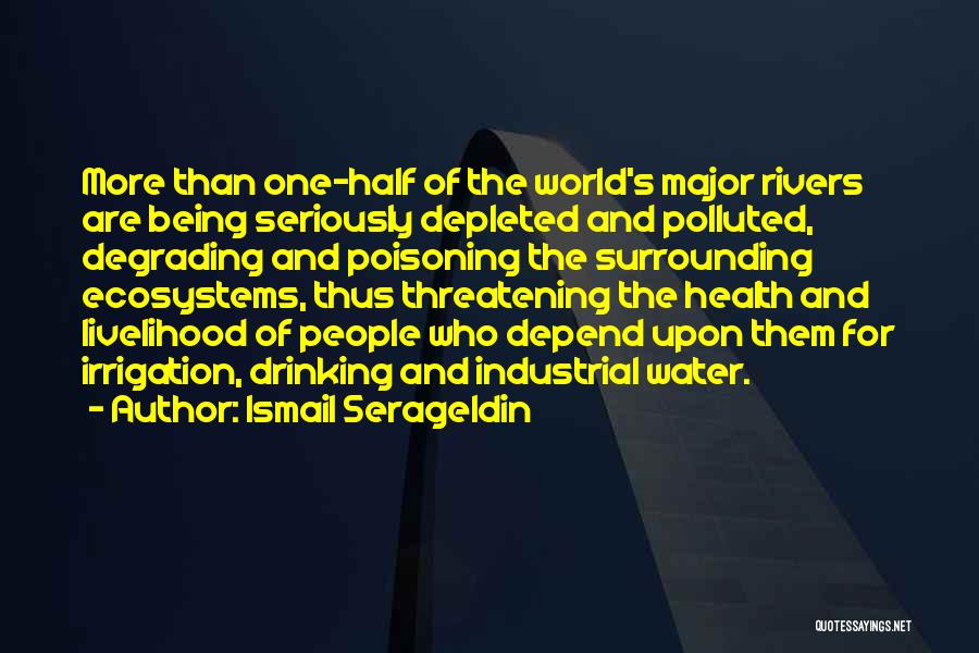 Polluted Water Quotes By Ismail Serageldin