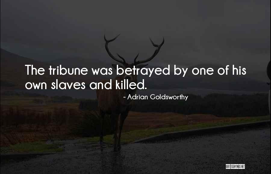 Polluters Of The World Quotes By Adrian Goldsworthy Polluters Of The World Quotes By Adrian Goldsworthy