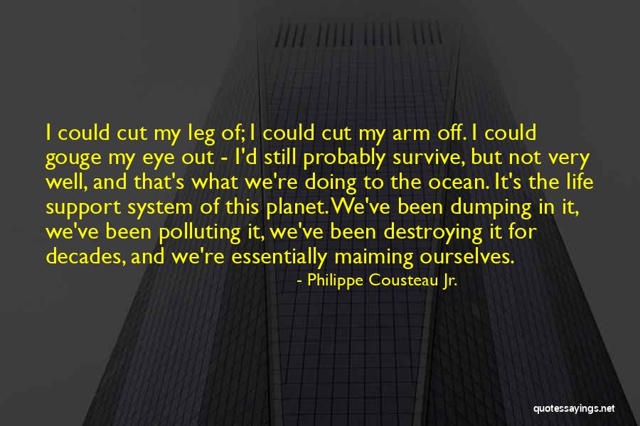 Polluting Quotes By Philippe Cousteau Jr. Polluting Quotes By Philippe Cousteau Jr.