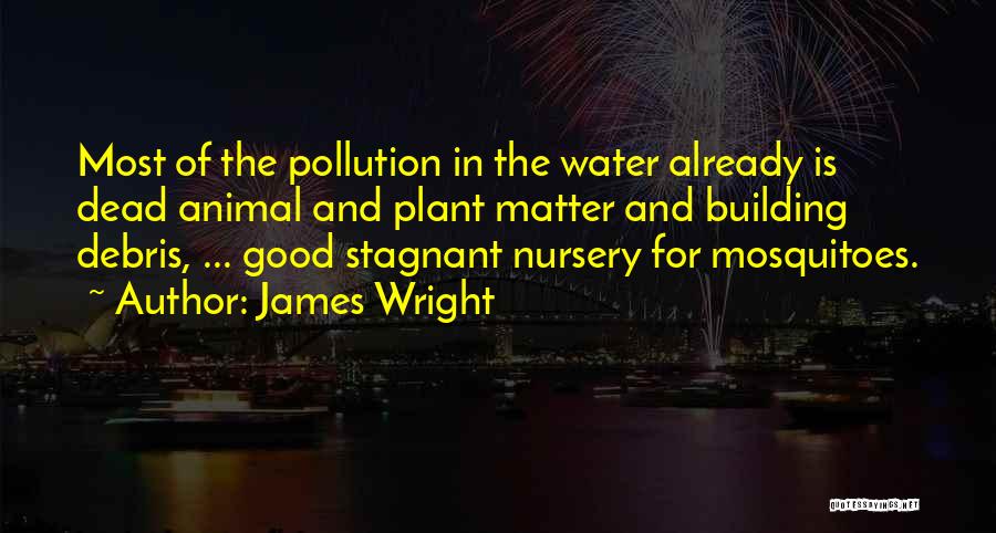 Pollution Of Water Quotes By James Wright