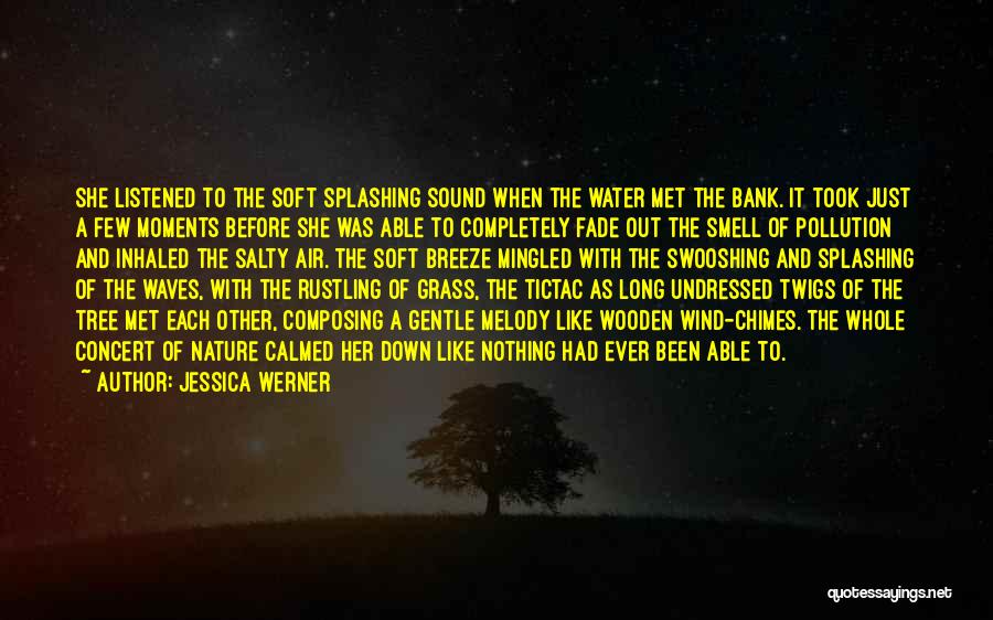 Pollution Of Water Quotes By Jessica Werner