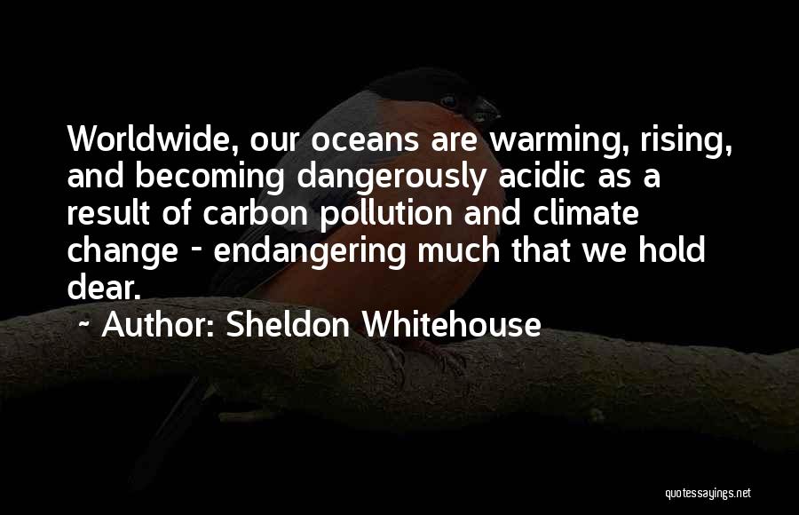 Pollution Quotes By Sheldon Whitehouse