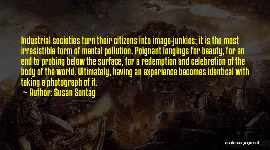 Pollution Quotes By Susan Sontag