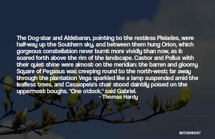 Pollux And Castor Quotes By Thomas Hardy Pollux And Castor Quotes By Thomas Hardy