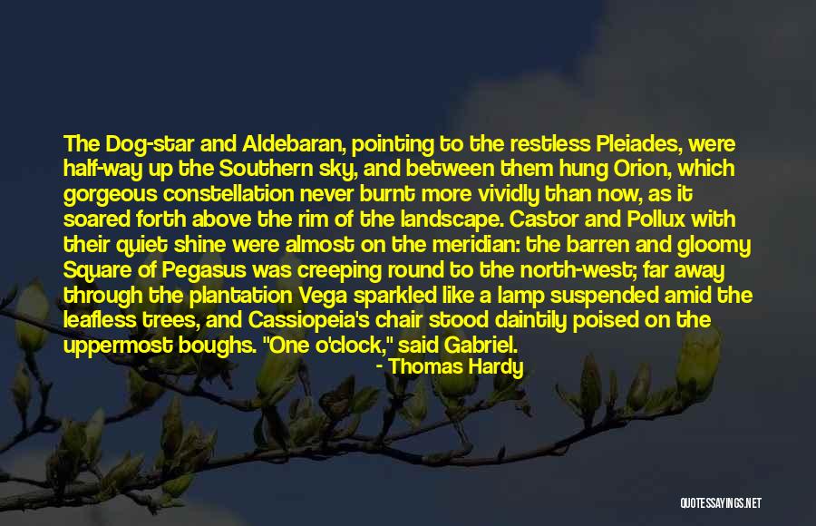 Pollux Star Quotes By Thomas Hardy Pollux Star Quotes By Thomas Hardy