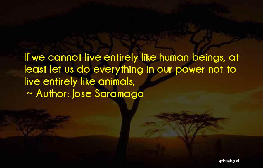 Polly Geist Quotes By Jose Saramago