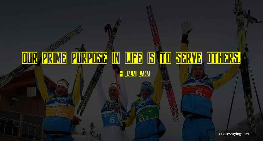 Polo Usa Quotes By Dalai Lama Polo Usa Quotes By Dalai Lama