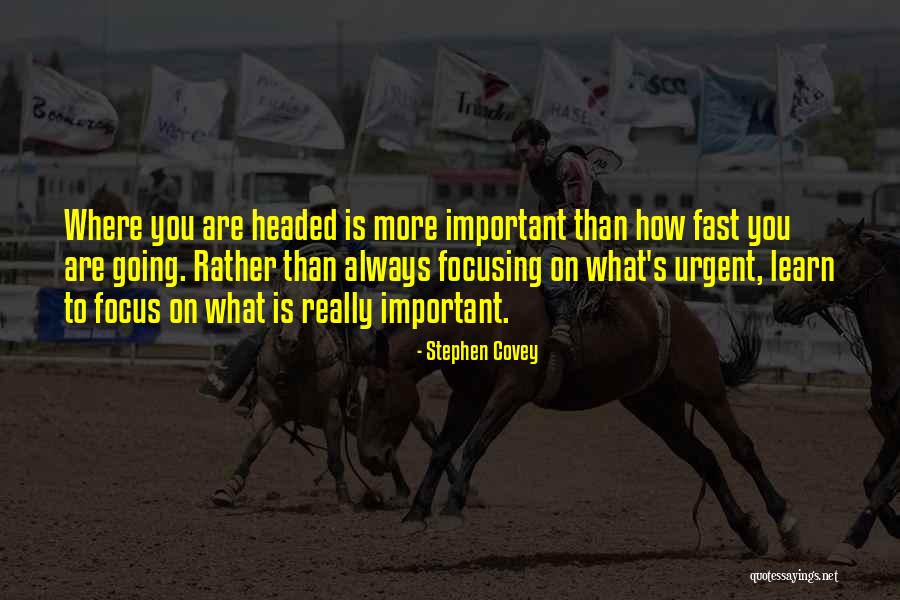 Polozaj Planeta Quotes By Stephen Covey Polozaj Planeta Quotes By Stephen Covey