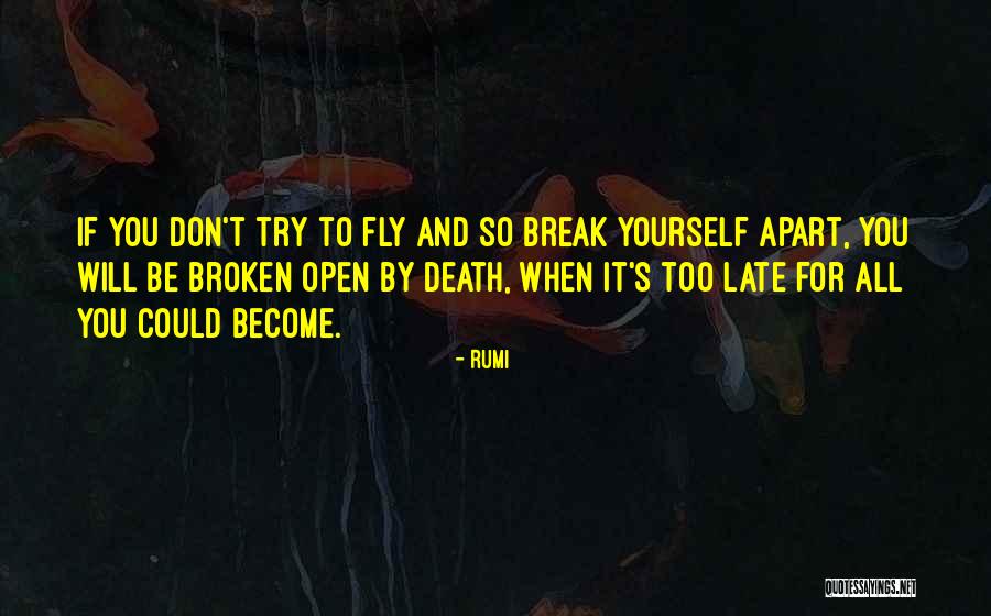 Polskie Wiadomosci Quotes By Rumi Polskie Wiadomosci Quotes By Rumi