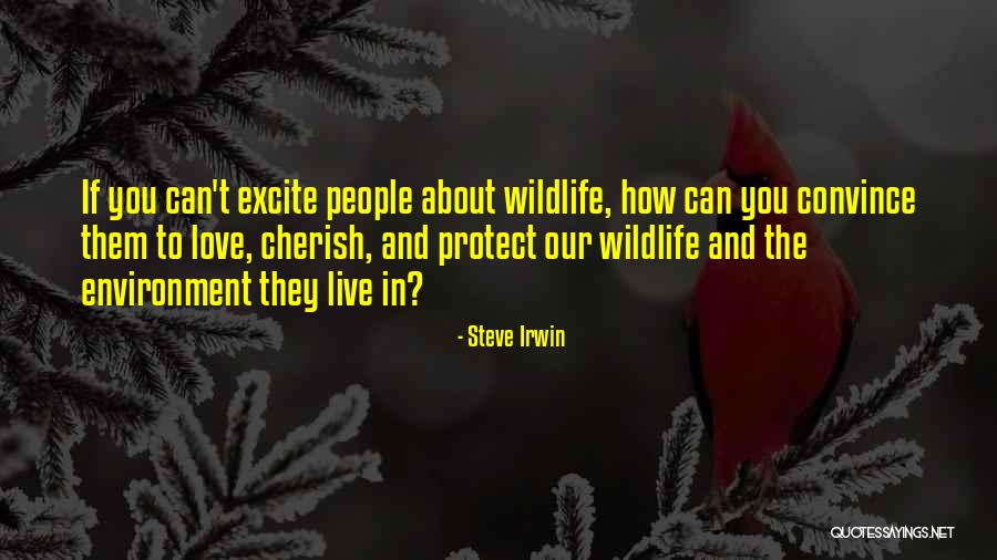 Polsku Vs Polski Quotes By Steve Irwin Polsku Vs Polski Quotes By Steve Irwin