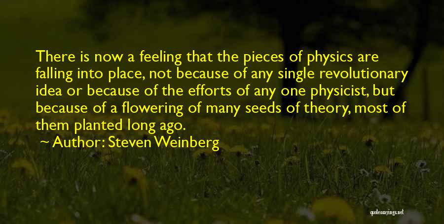 Polstereibedarf Quotes By Steven Weinberg