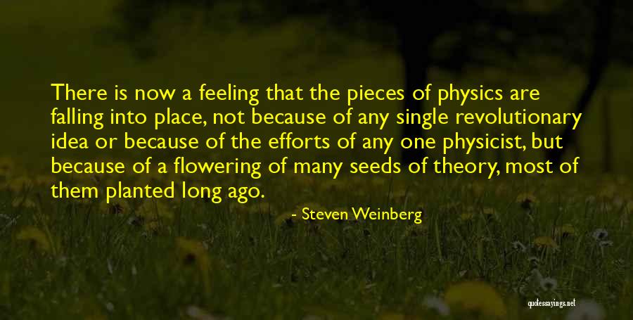 Polstereibedarf Quotes By Steven Weinberg