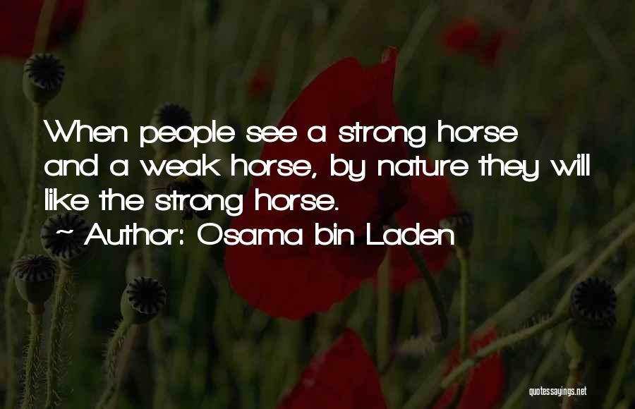 Polumjesec Na Quotes By Osama Bin Laden