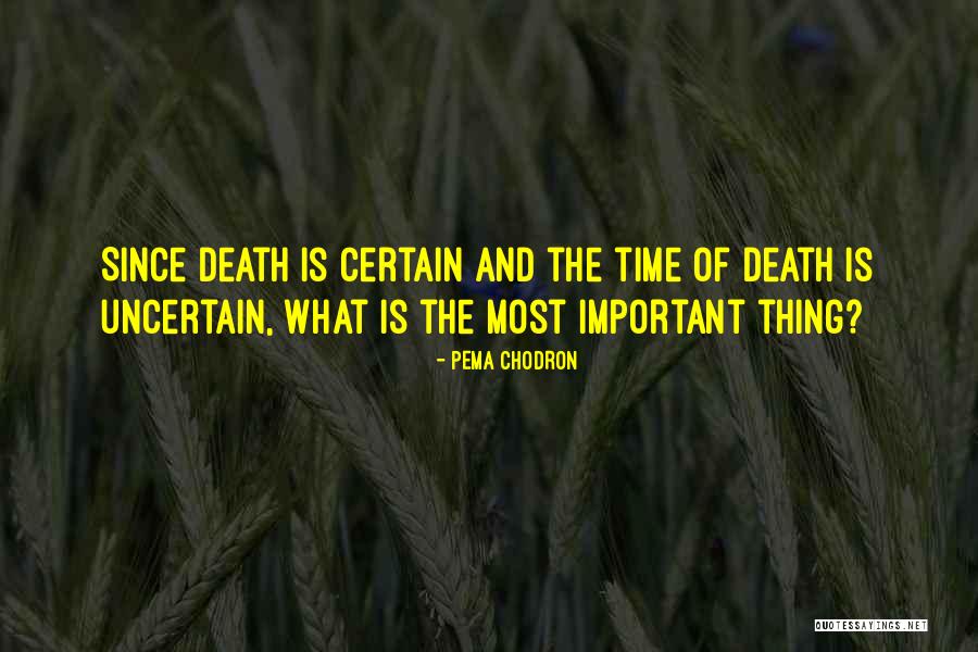 Polutan Quotes By Pema Chodron Polutan Quotes By Pema Chodron