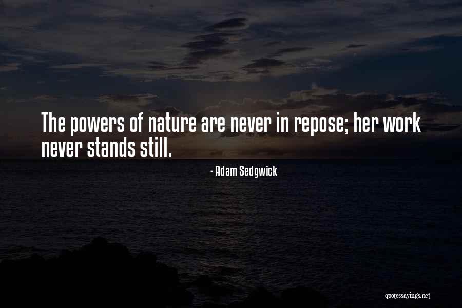 Polyester Sweater Quotes By Adam Sedgwick Polyester Sweater Quotes By Adam Sedgwick