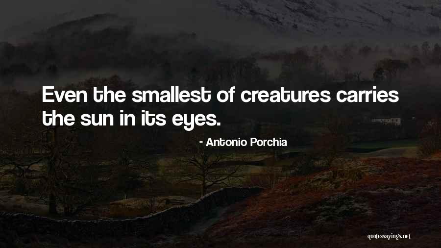 Polygraph Test Quotes By Antonio Porchia Polygraph Test Quotes By Antonio Porchia