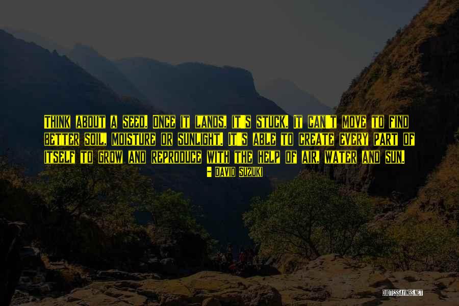 Polymorphously Quotes By David Suzuki Polymorphously Quotes By David Suzuki