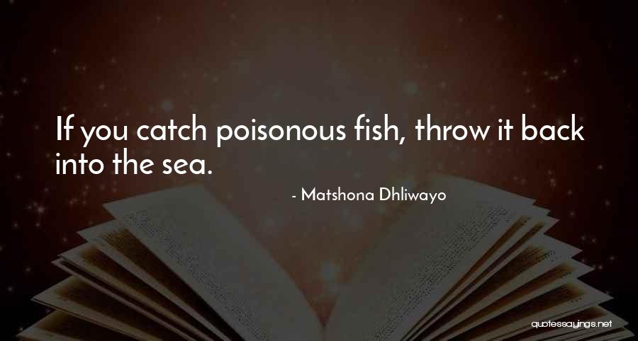 Polyunsaturated Vs Monounsaturated Quotes By Matshona Dhliwayo