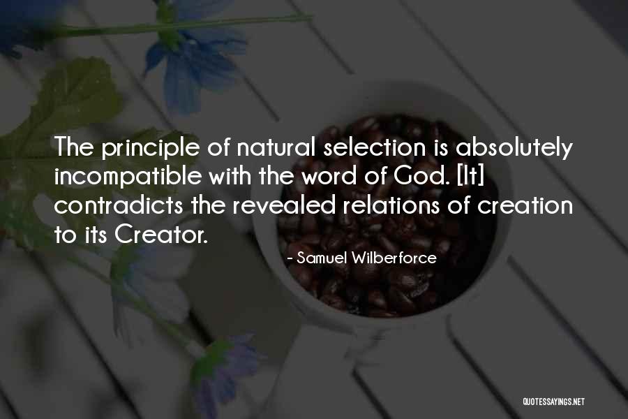 Pombos Bebes Quotes By Samuel Wilberforce Pombos Bebes Quotes By Samuel Wilberforce