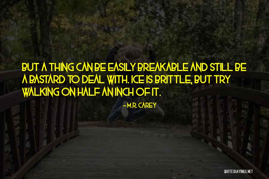 Pomegranates Nutritional Value Quotes By M.R. Carey Pomegranates Nutritional Value Quotes By M.R. Carey