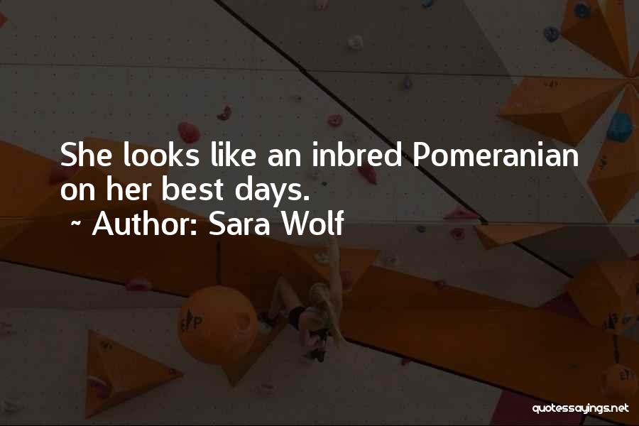 Pomeranian Quotes By Sara Wolf