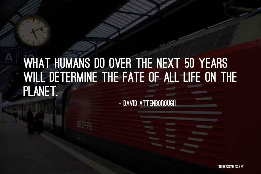 Pomfrey Accountants Quotes By David Attenborough Pomfrey Accountants Quotes By David Attenborough