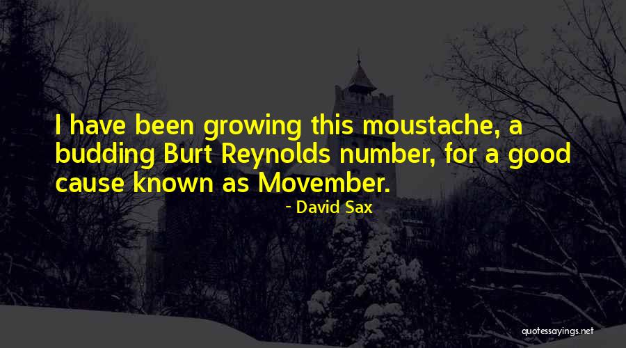 Pomfrey Accountants Quotes By David Sax Pomfrey Accountants Quotes By David Sax