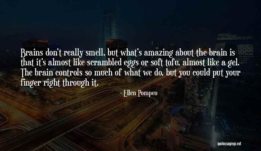 Pompeo Quotes By Ellen Pompeo Pompeo Quotes By Ellen Pompeo