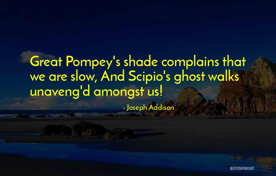 Pompey The Great Quotes By Joseph Addison