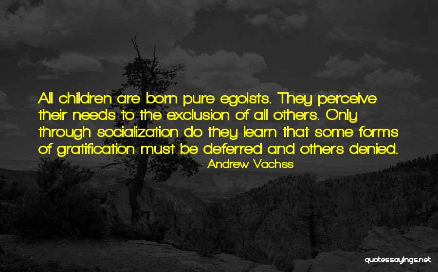 Pompilidae Quotes By Andrew Vachss Pompilidae Quotes By Andrew Vachss