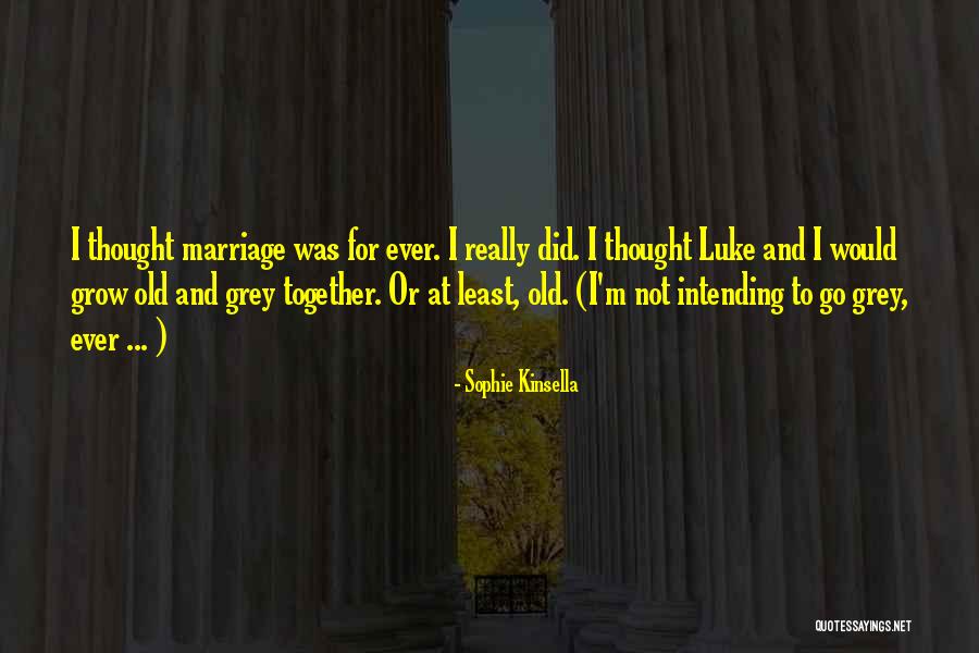Pomponettes Quotes By Sophie Kinsella Pomponettes Quotes By Sophie Kinsella