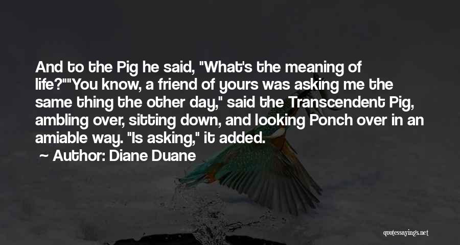 Ponch Quotes By Diane Duane