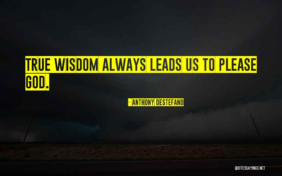 Ponchelet Quotes By Anthony DeStefano