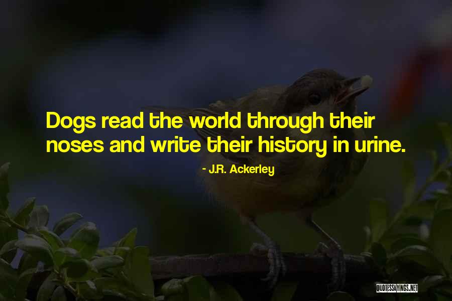 Poncin Estate Quotes By J.R. Ackerley