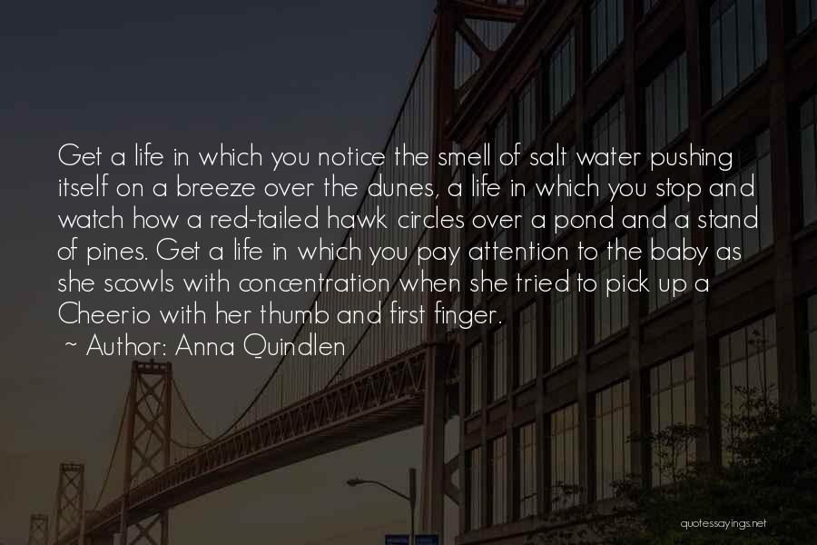 Pond Life Quotes By Anna Quindlen