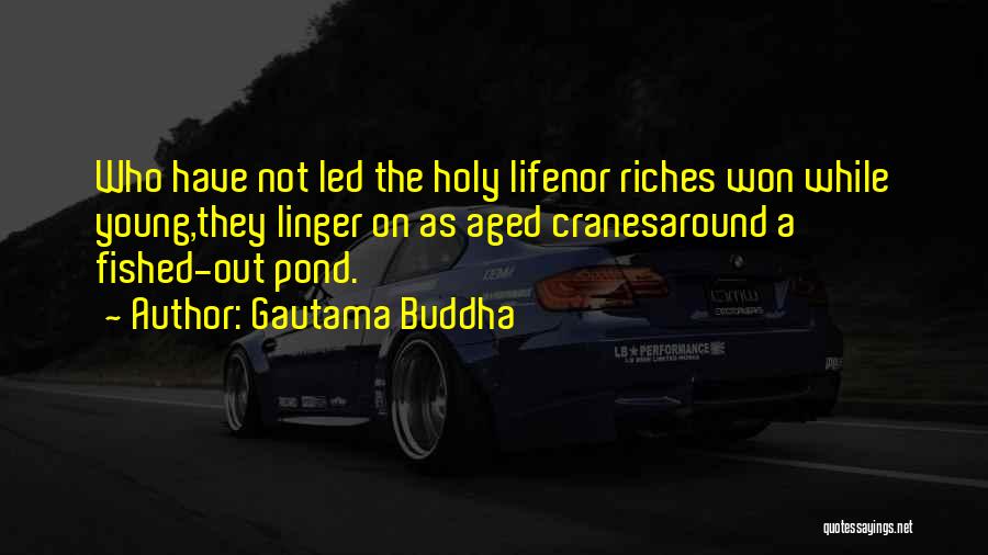 Pond Life Quotes By Gautama Buddha