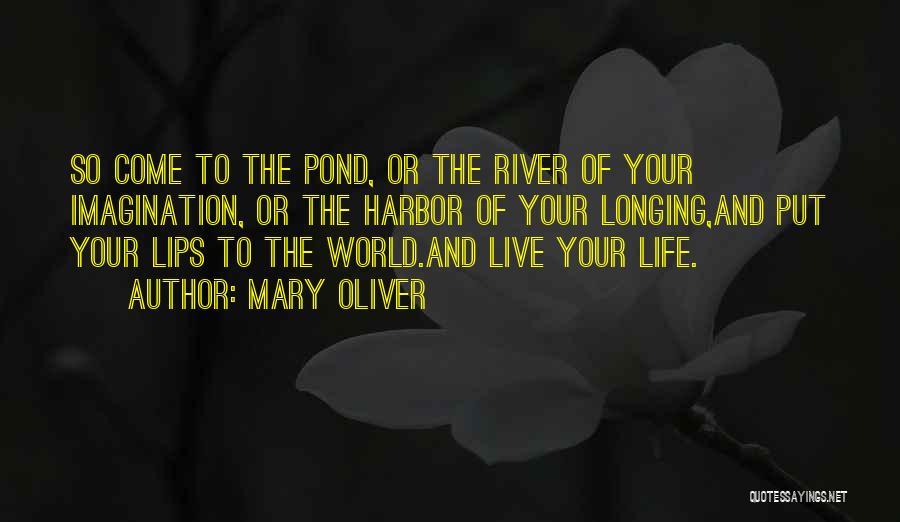 Pond Life Quotes By Mary Oliver