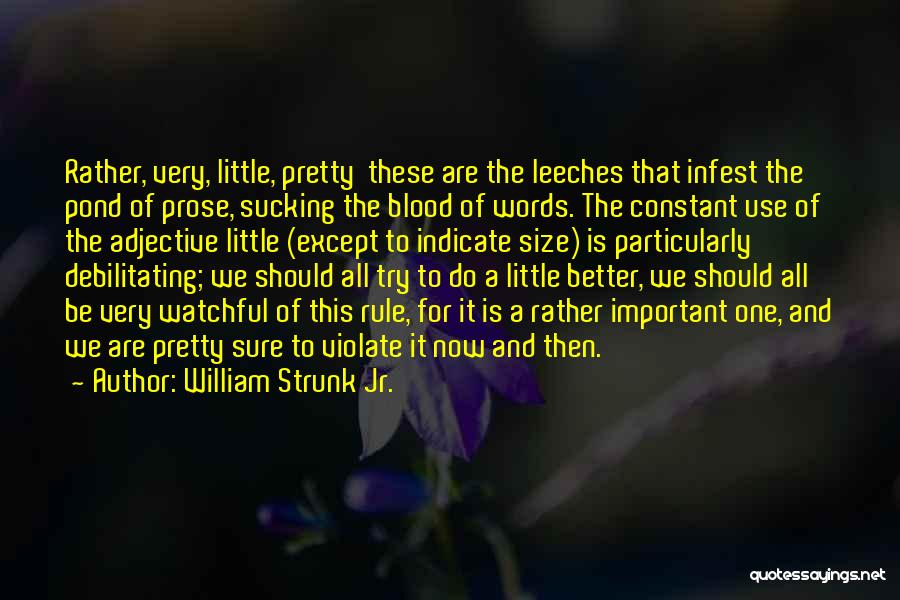 Pond Quotes By William Strunk Jr.