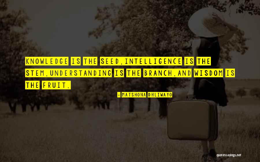 Ponderantur Quotes By Matshona Dhliwayo Ponderantur Quotes By Matshona Dhliwayo