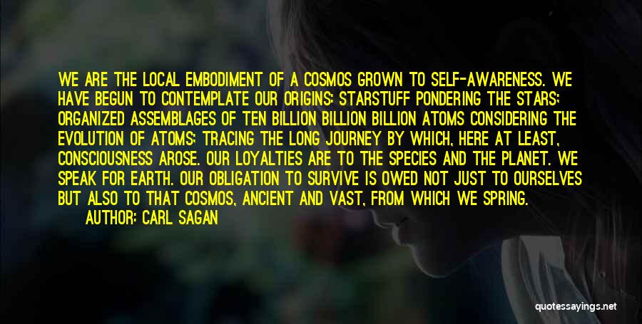 Pondering Quotes By Carl Sagan
