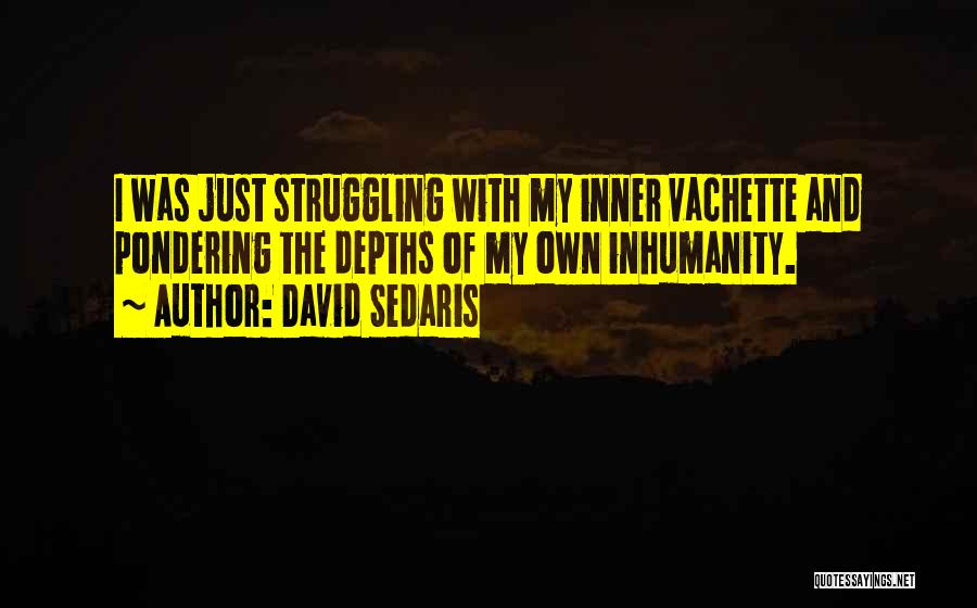 Pondering Quotes By David Sedaris