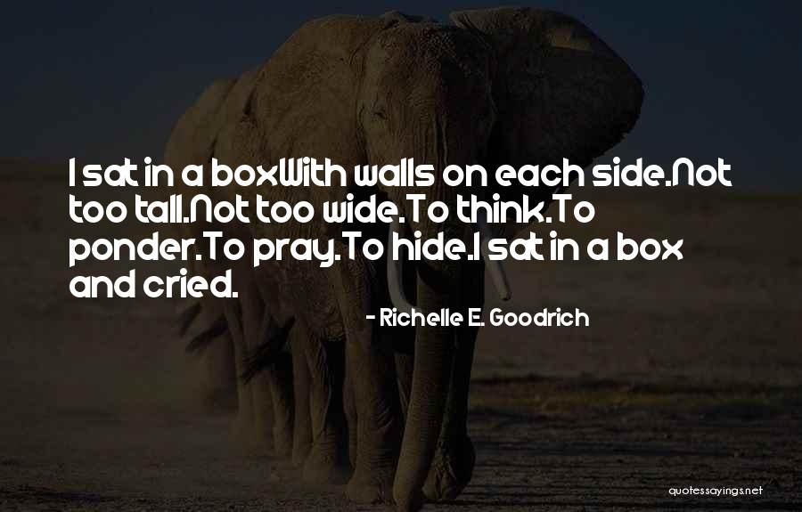 Pondering Quotes By Richelle E. Goodrich